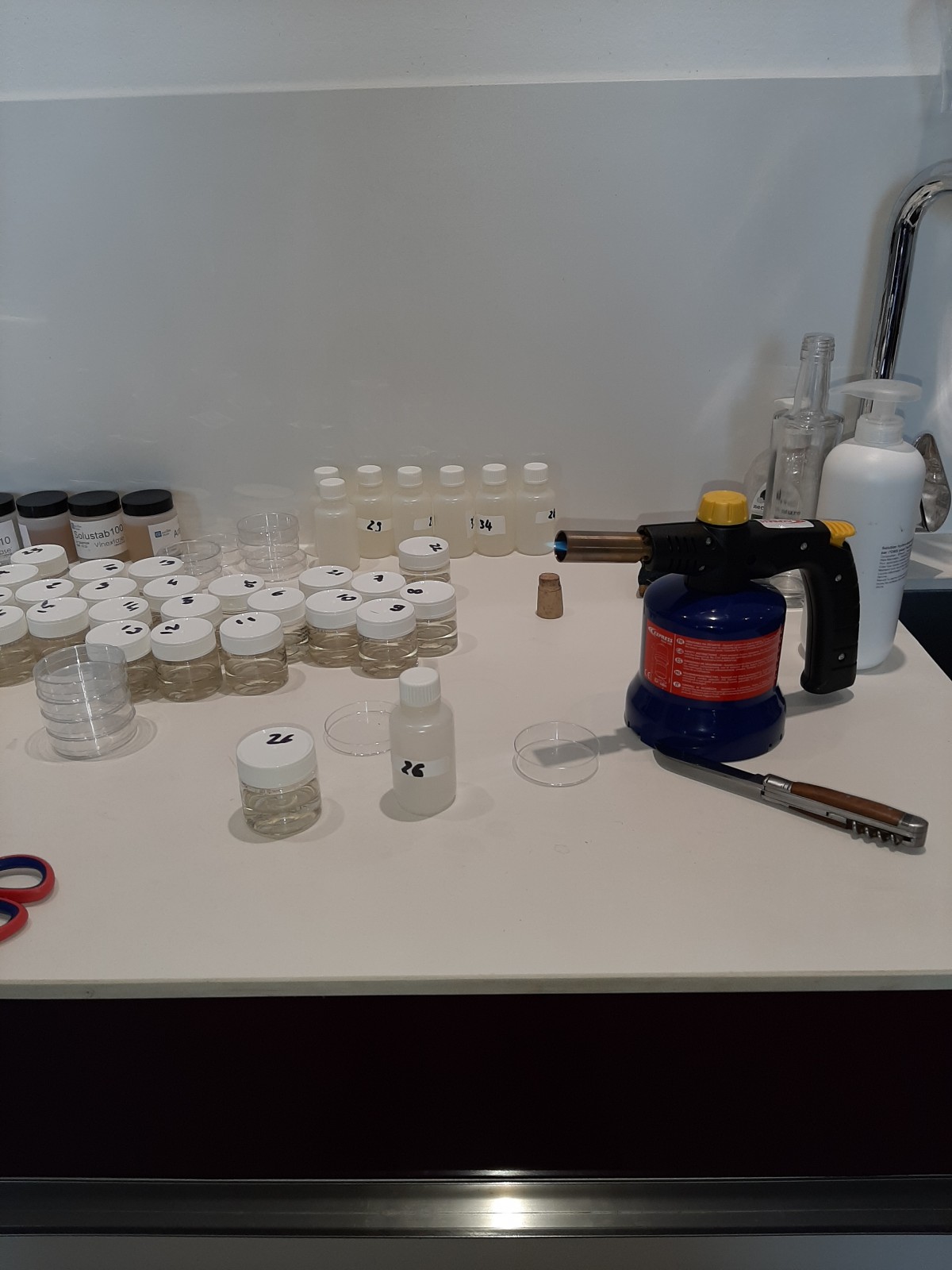 Accompagnement par un oenologue pour le contrôle de barriques à Pomerol 