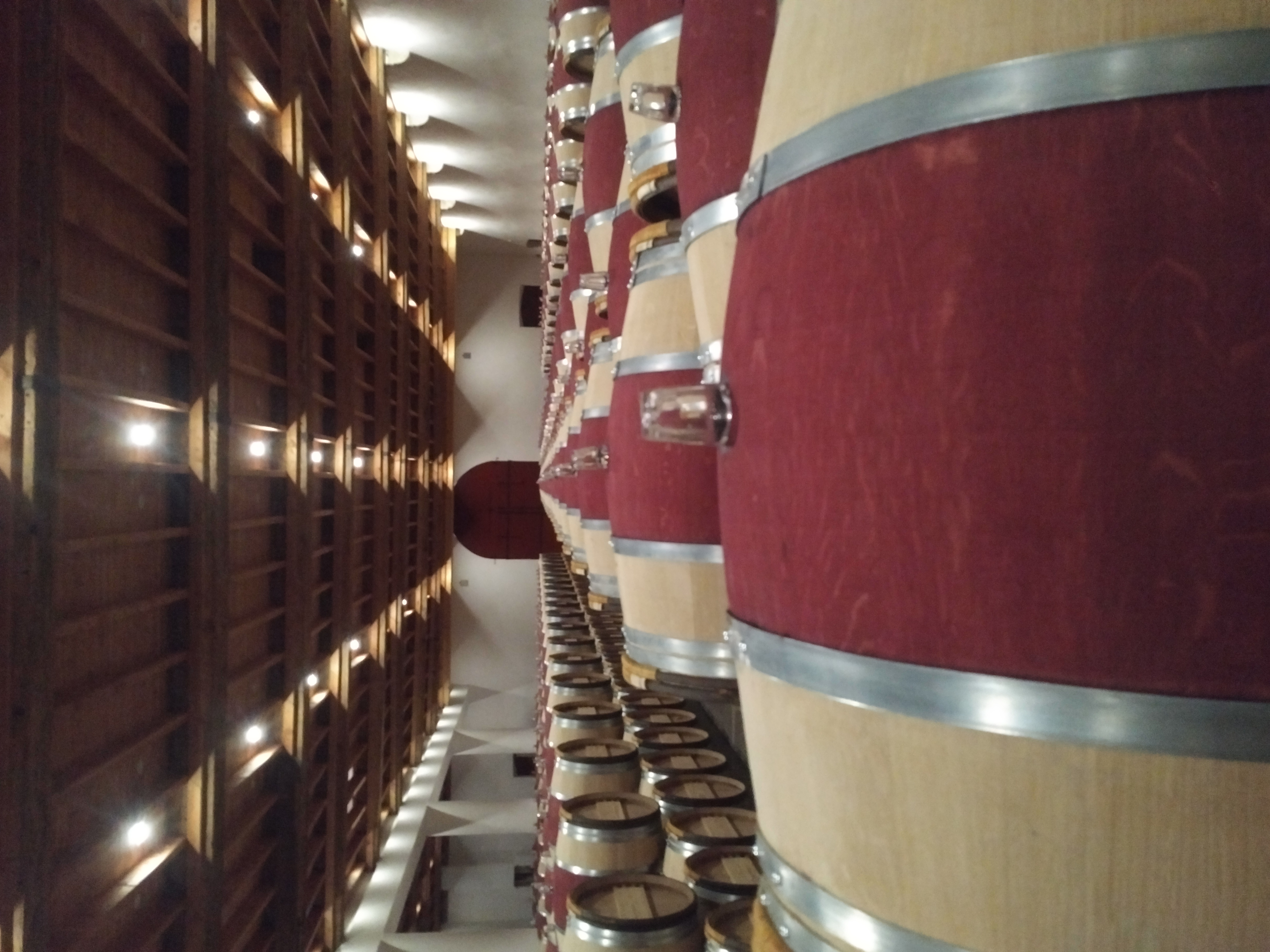 Conseils et expertises en viticulture et oenologie